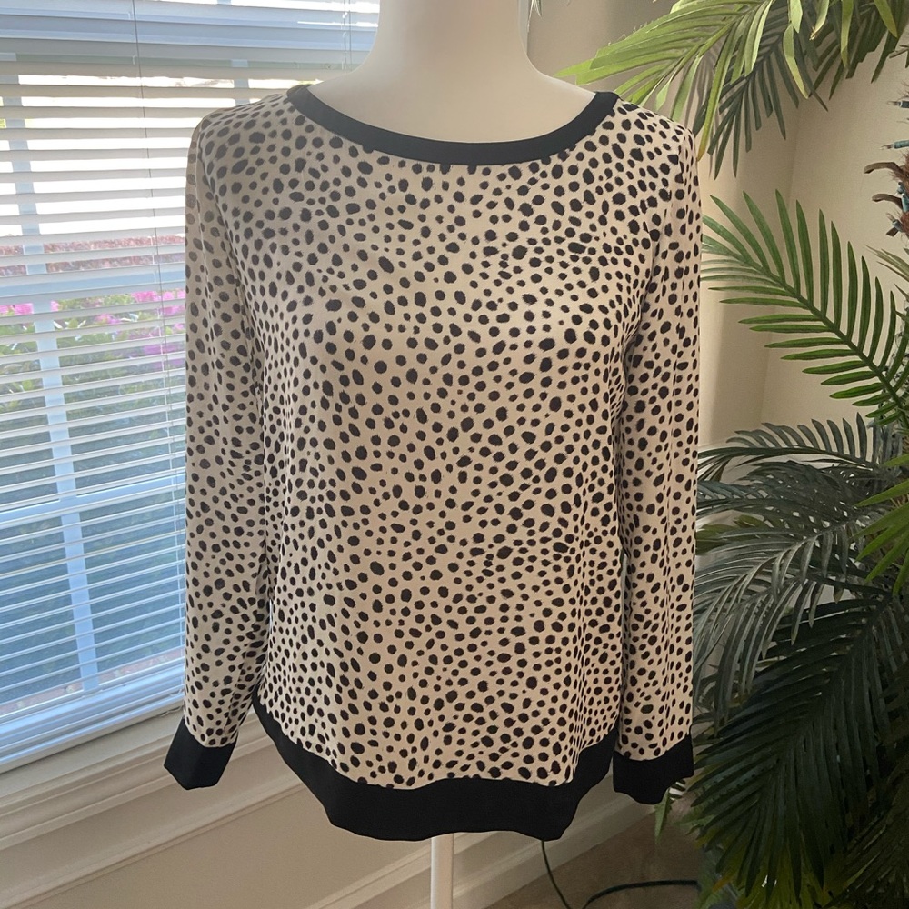 Ann Taylor Loft blouse